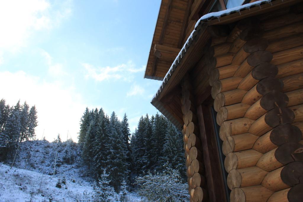 Sadyba Kazkove Dzherelo Verhovina Szoba fotó